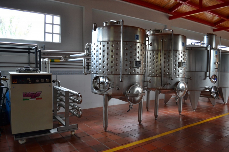 cave-LA MOTTE-min_wine_production_cantine_winery_drink_alcohol_vine_beverage-902036